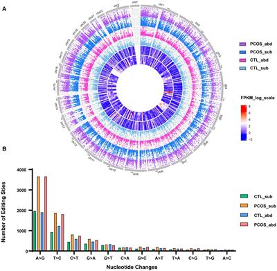 RNA editing landscape of adipose tissue in polycystic ovary syndrome provides insight into the obesity-related immune responses